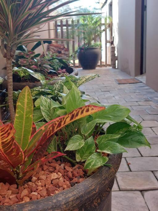 Ferienwohnung Hide Away On 21 Mossel Bay Exterior foto